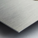 Siberian Jay Perisoreus infaustus Metal print