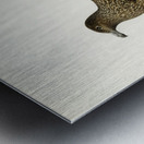 Great skua Stercorarius skua Metal print