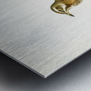 Redwing Turdus iliacus Metal print