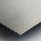 SITTA EUROPAEA LIN Metal print