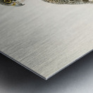 Peregrine Falcon Falco peregrinus Metal print