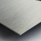 Tringa Alpina Dunlin Metal print