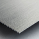 Great cormorant Phalacrocorax Carbo Metal print