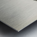 Barnacle Goose BRANTA LEUCOPSIS Metal print