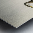 Young red-necked grebe Podiceps grisegena Metal print