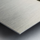 Eurasian Hobby Falco subbuteo Metal print