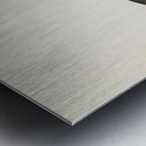 Red-throated loon Colymbus Stellatus Metal print