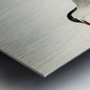 Common tern STERNA HIRUNDO Metal print