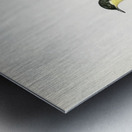 Grey-headed Wagtail MOTACILLA BUDYTES FLAVA THUNBERGI Metal print