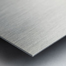 Pied Wagtail Motacilla alba Metal print