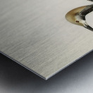 Black-throated loon Colymbus arcticus Metal print