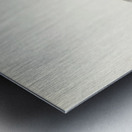 Black-headed gull ♂ Larus ridibundus Metal print