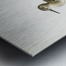 Wood Sandpiper Totanus Glareola Metal print