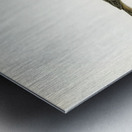 Red-backed Shrike female Lanius collurio Metal print