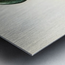 European shag Phalacrocorax aristotelis Metal print