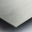 Yellowhammer female Emberiza citrinella Metal print