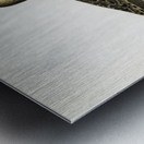 Ruff female Philomachus pugnax Metal print