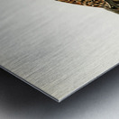 Common Kestrel female Falco tinnunculus Metal print