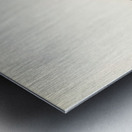 Bohemian Waxwing Ampelis garrulus Metal print