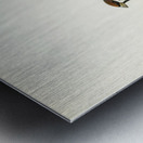 Eurasian Tree Sparrow Tree Sparrow Passer montanus Metal print