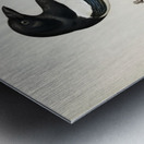 Eurasian magpie PICA PICA Metal print