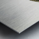 Velvet Scoter female Oidemia fusca Metal print