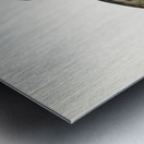 Ferruginous duck male Nyroca fuligule Metal print