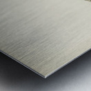 Black-legged kittiwake Rissa Tridactyla Metal print