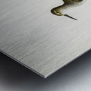 Sandpiper Tringoides hypoleucus Metal print