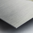 Sandwich tern Sterna sandvicensis Metal print