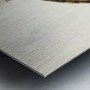 Osprey Pandion haliaetus Metal print