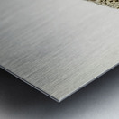 Glaucous gull Larus glaucus Metal print