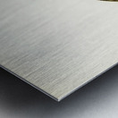 Dunlin Tringa Alpina Metal print