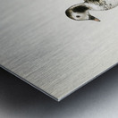 Harelda Hyemalis Impression metal