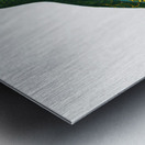 Red-and-blue amazon  Metal print