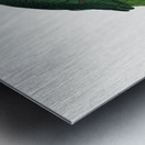 Grey-cheeked parakeet  Metal print