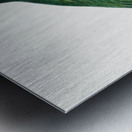 Buru green parrot  Metal print