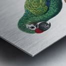 Military macaw Metal print
