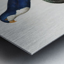 Arimanon parakeet  Metal print