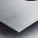 Black lory  Metal print