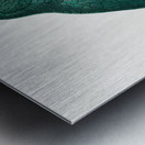 Cuban parrot  Impression metal