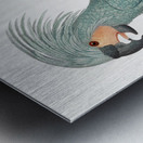 Goliath cockatoo  Metal print