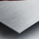 Crimson rosella  Metal print