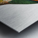 Black-headed caique  Metal print