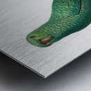 Austral parakeet  Metal print