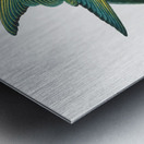 Yellow-crowned parakeet  Metal print