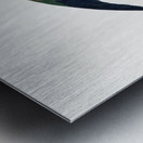 Sun parakeet  Metal print