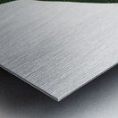 Red-lored parrot  Metal print