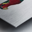 Blue-headed pied lorikeet  Metal print