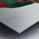 Blue-crowned lorikeet  Metal print